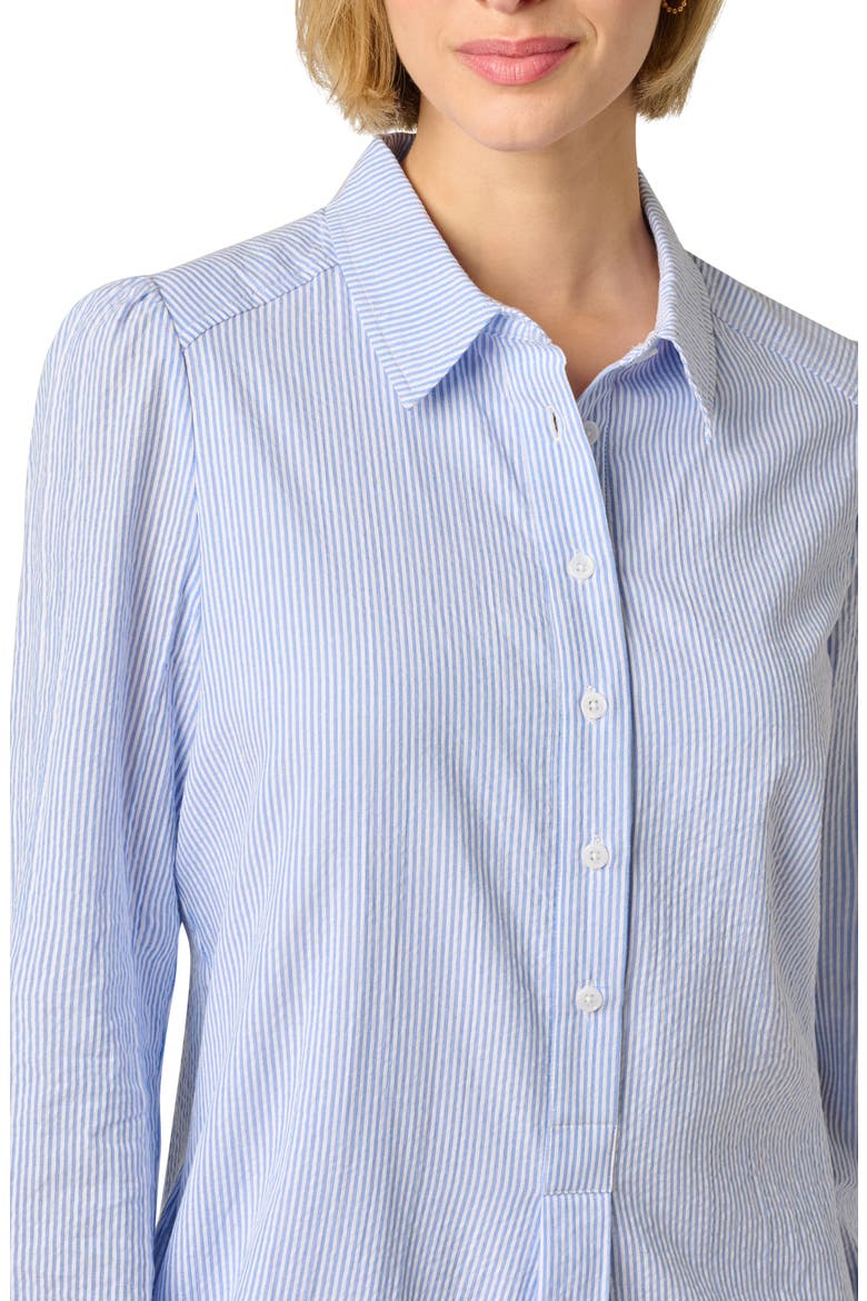 Hailey Stripe Button-Up Shift Shirtdress