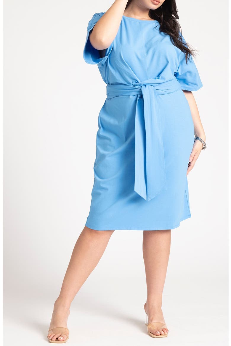 Tie front Flutter Sleeve Midi Sheath Dress