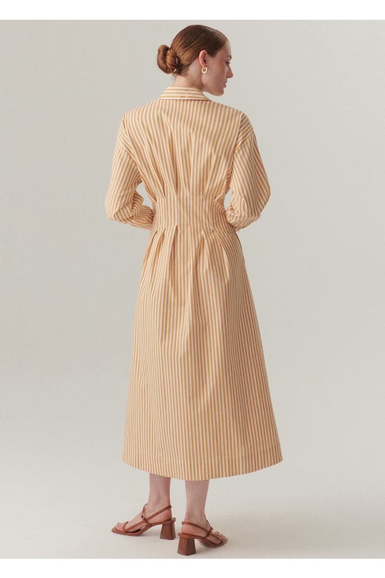 Sutton Collar Midi Dress