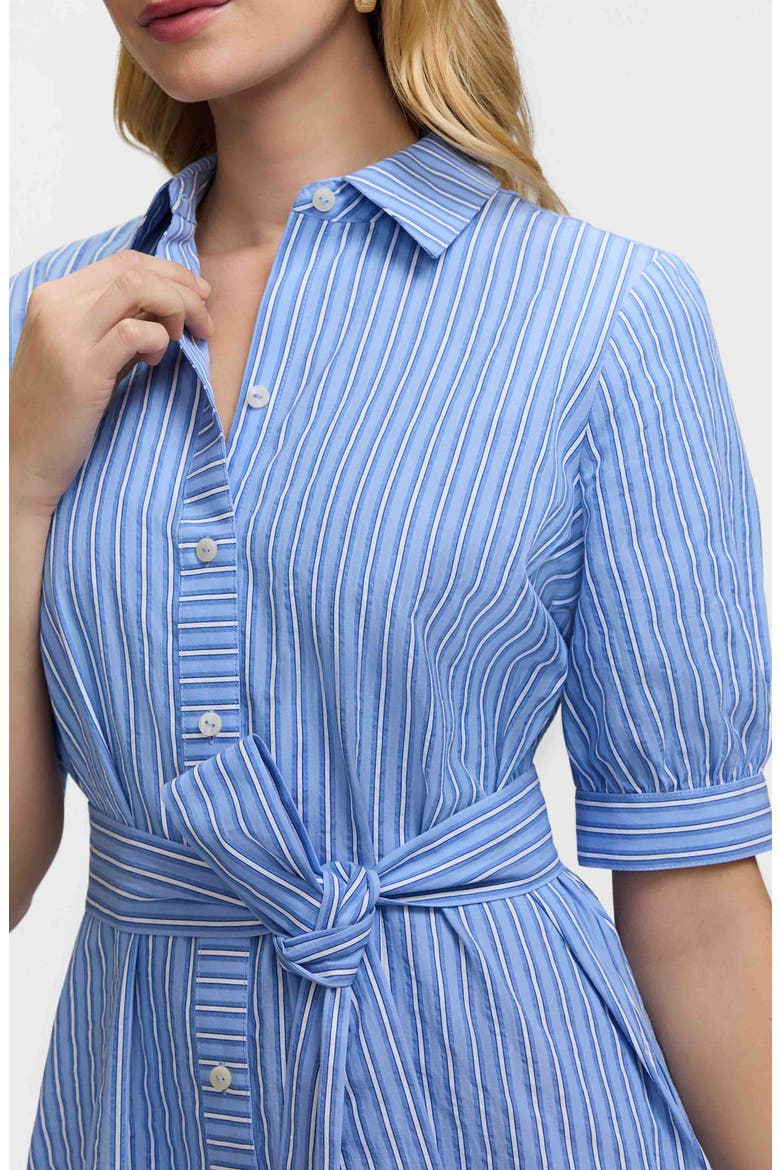 Esther Belted Stripe Cotton Shirtdress
