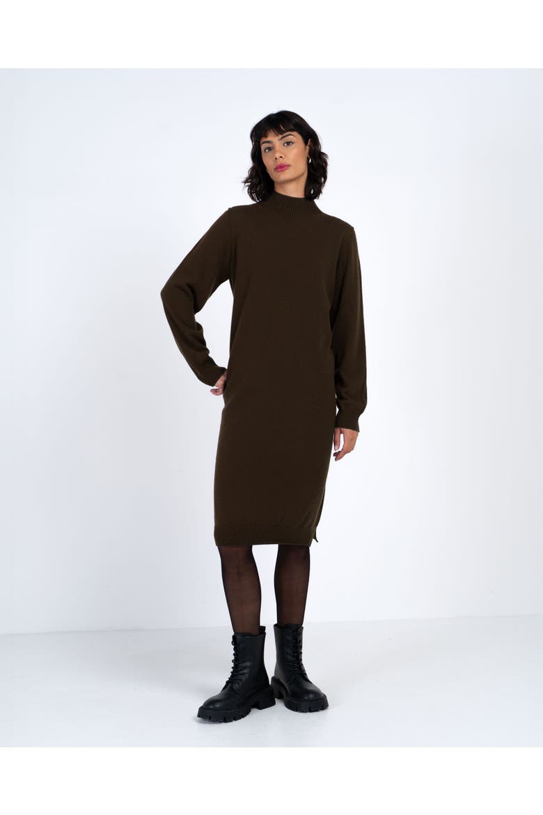 Turtle Neck Knitted Dress