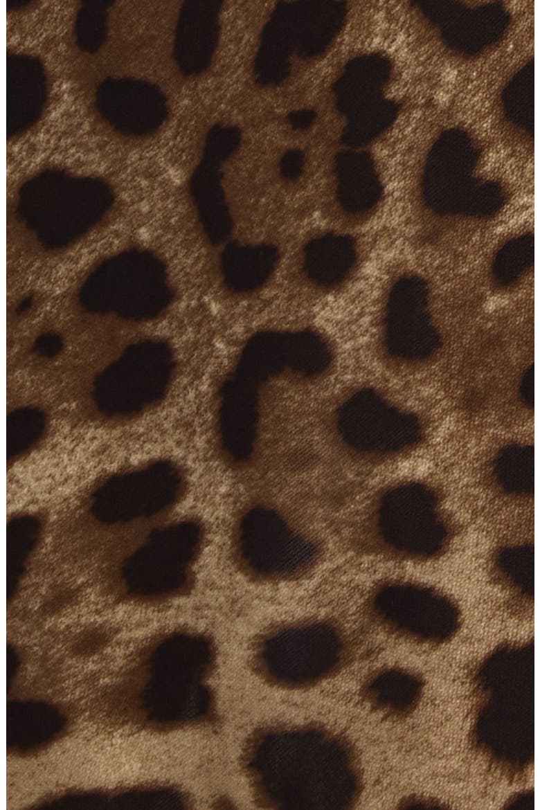 Leopard Print Long Sleeve Midi Dress