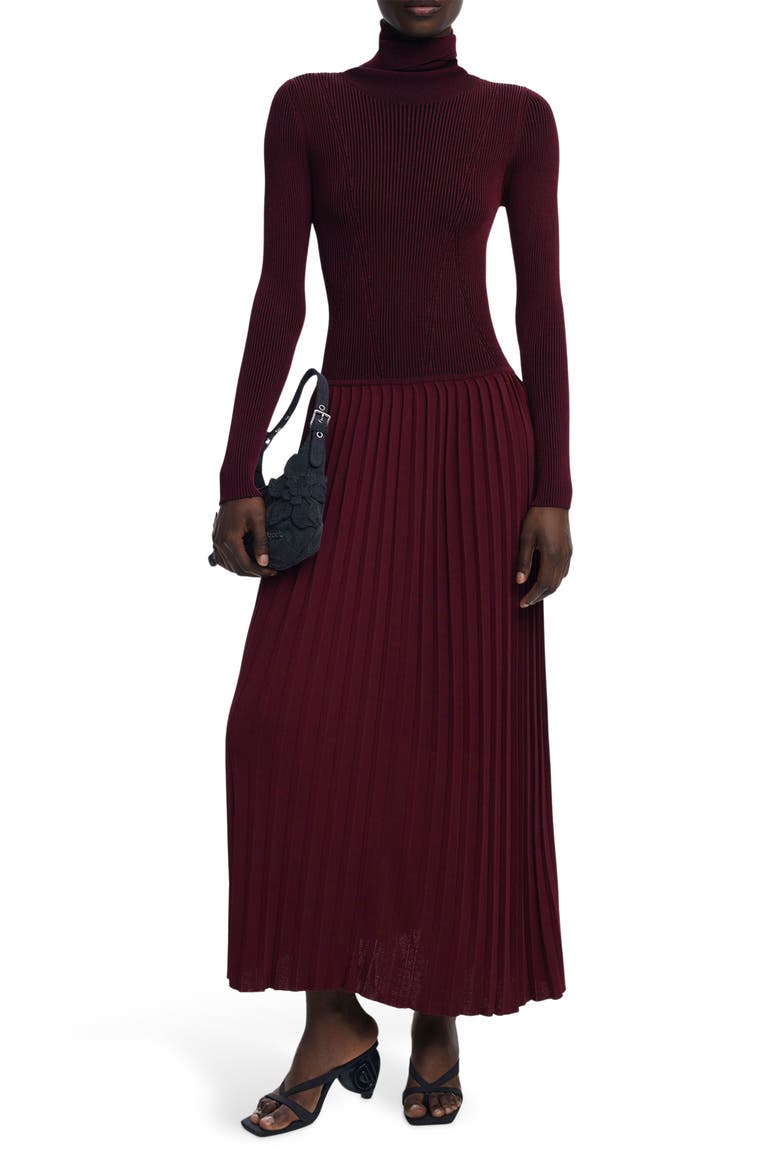 Long Sleeve Pleat Turtleneck Maxi Dress