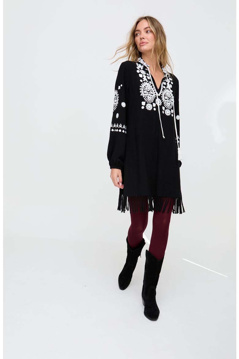 Katie Fringe Embroidered Mini Dress