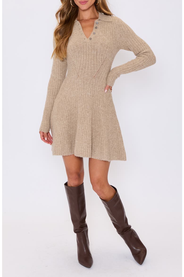 Ember Long Sleeve Fit & Flare Sweater Minidress