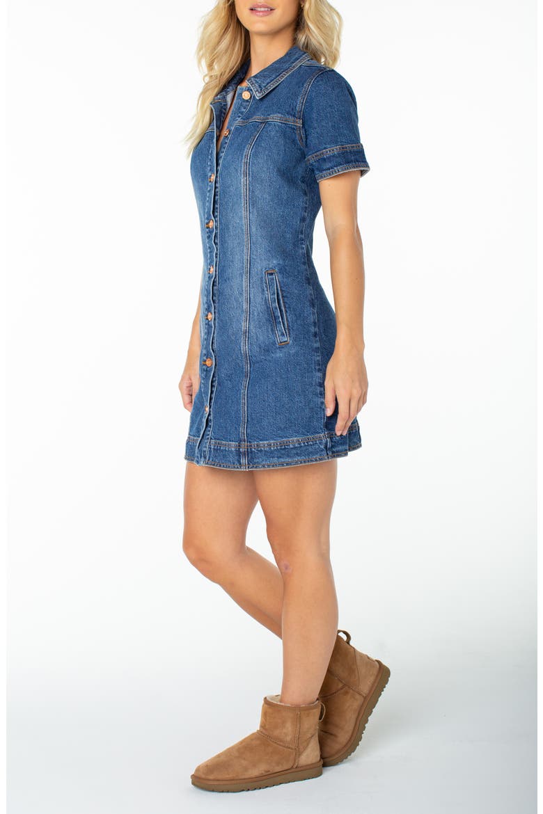 Dusk After Dark Button-Up Minidress