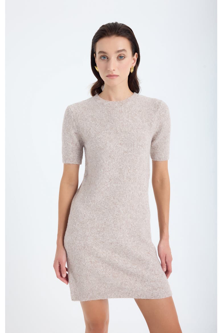 Rune Short Sleeve Crewneck Knit Sweater Dress