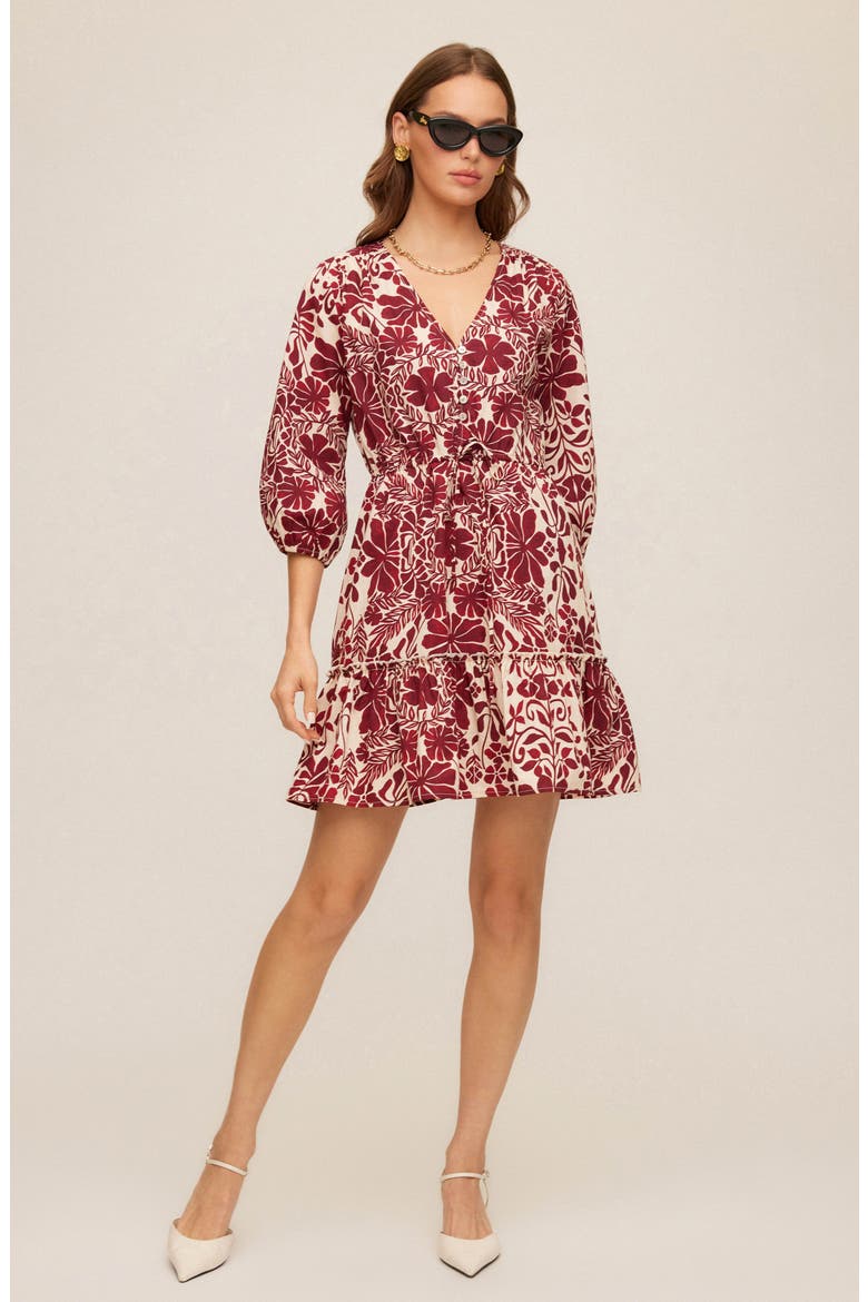 Tasha Print Tie Waist Minidress
