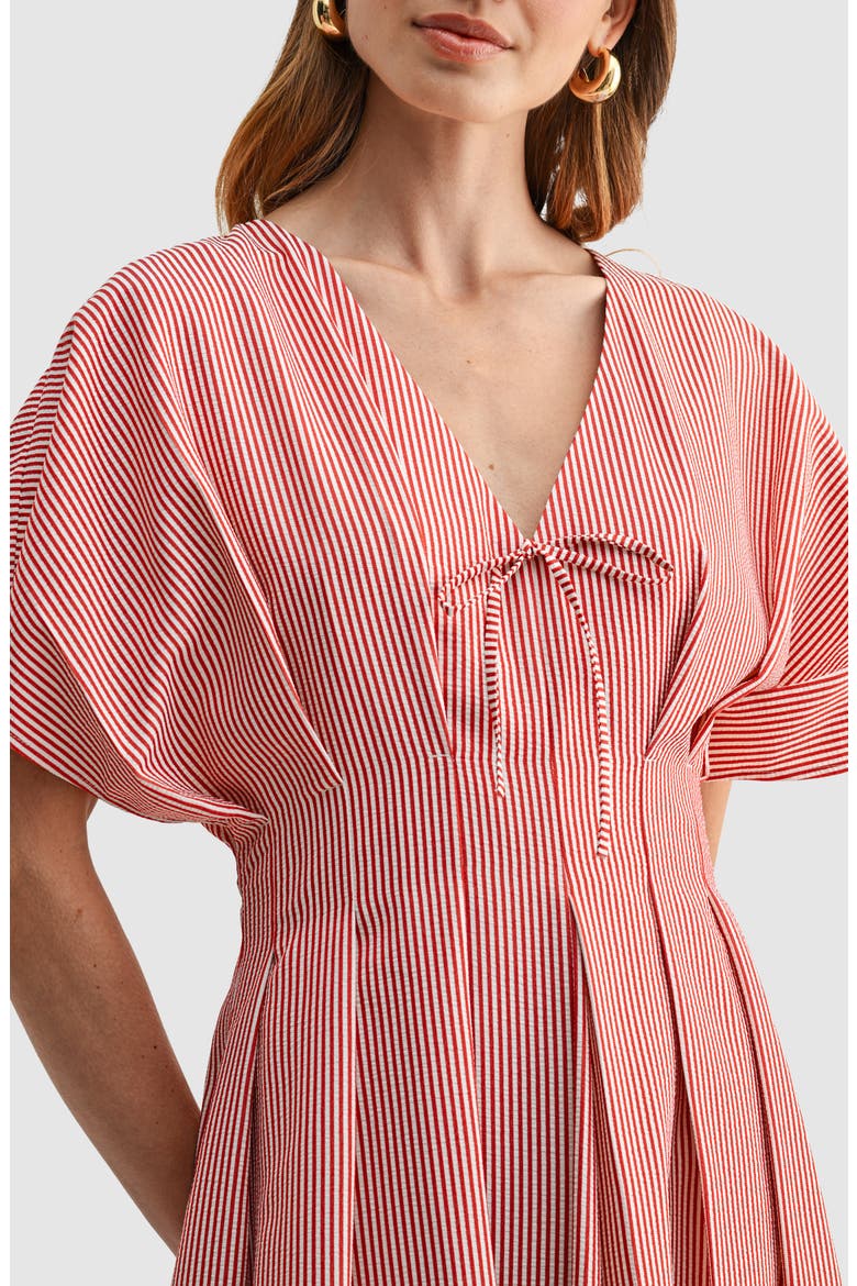 Stripe Pleat Waist A-Line Midi Dress