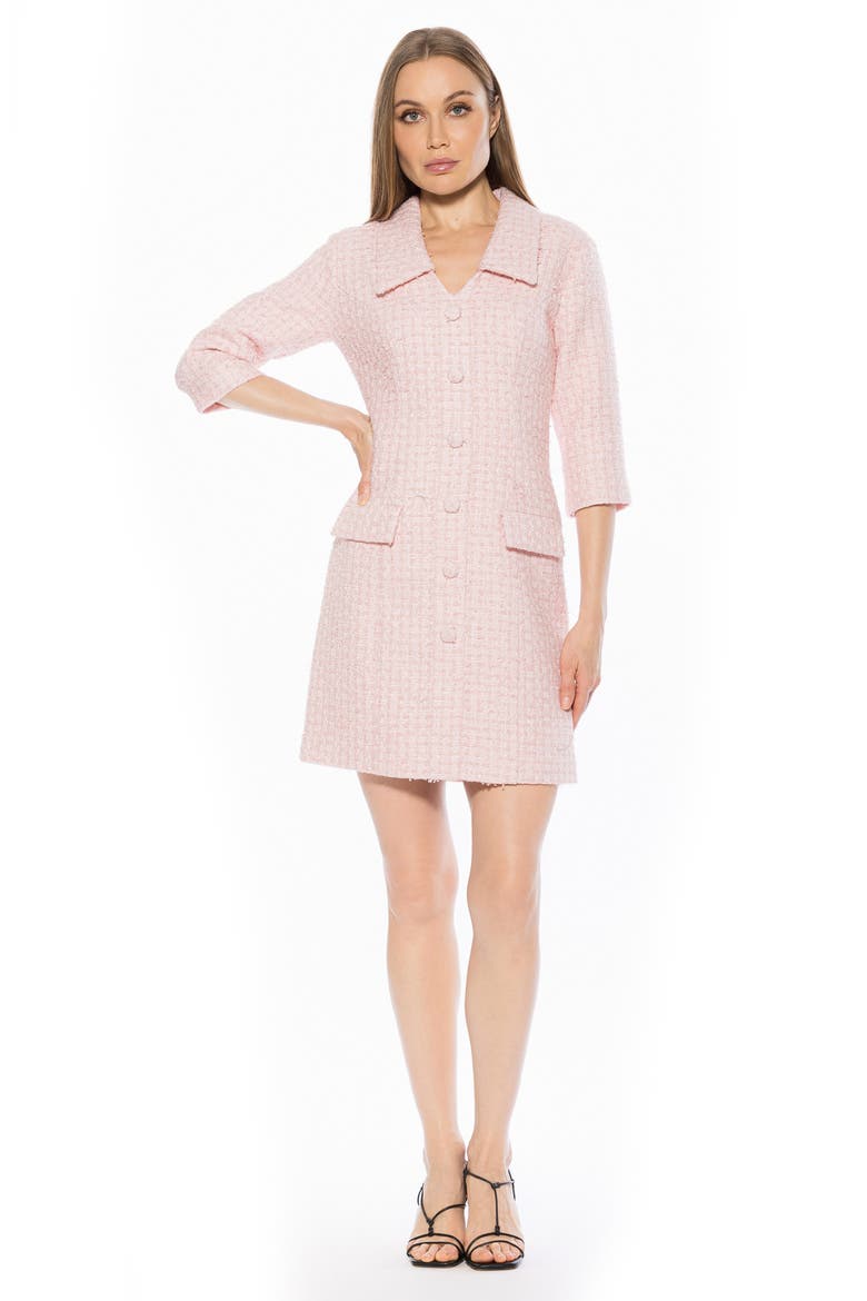 Isolde Collared Tweed Dress