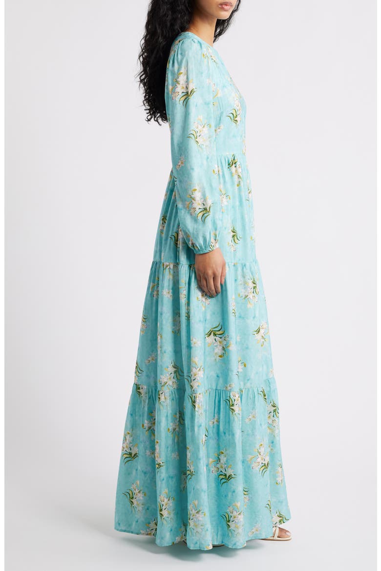 Bernice Long Sleeve Maxi Dress