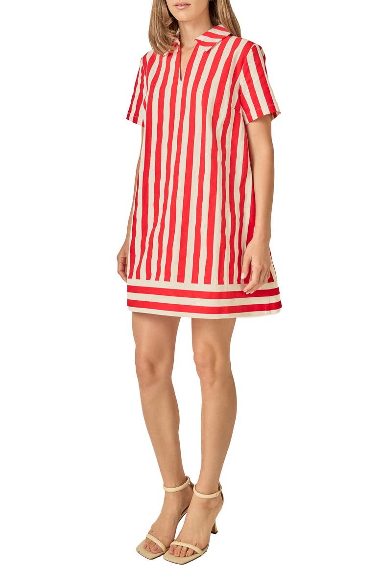 Stripe Mini Shirtdress