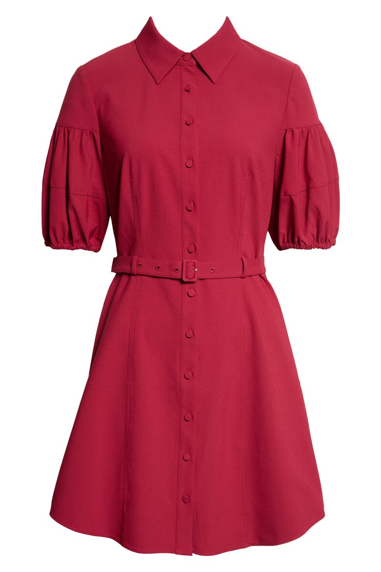 Norel Puff Sleeve Shirtdress