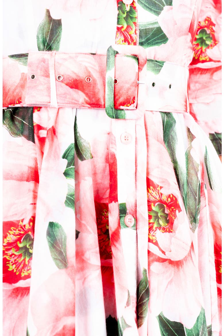 A-Line Midi Aster Shirtdress