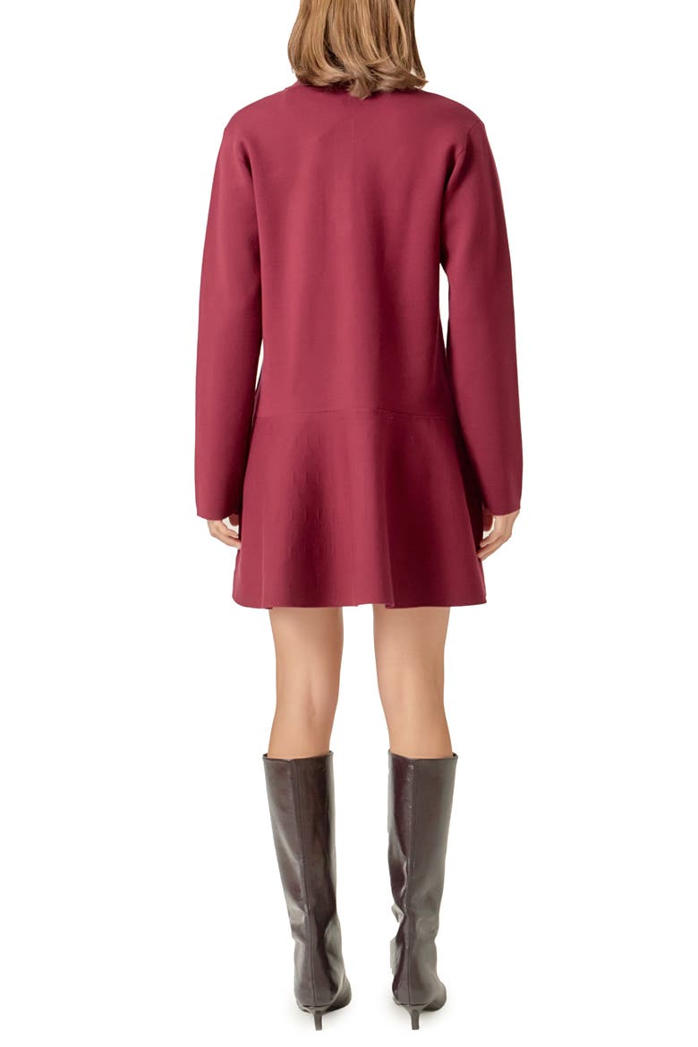 Long Sleeve Knit Minidress