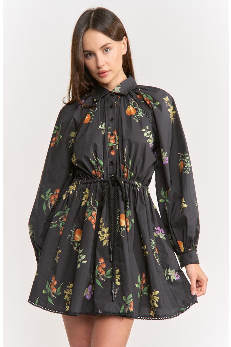 Kristie Long Sleeve Cotton Shirtdress