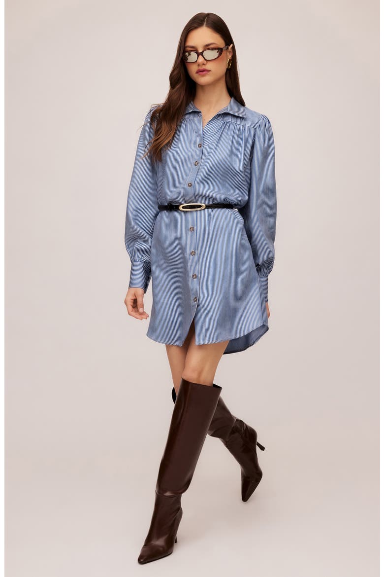 Natalia Stripe Long Sleeve Shirtdress