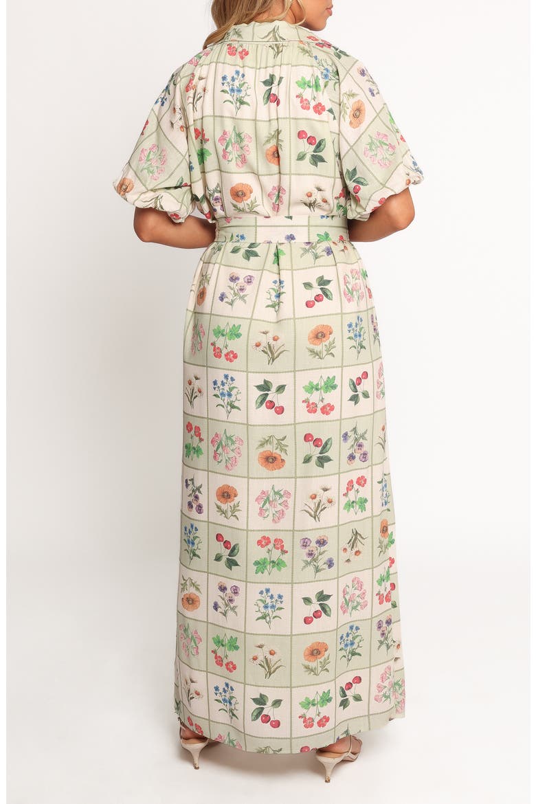 James Print Tie Waist Maxi Dress