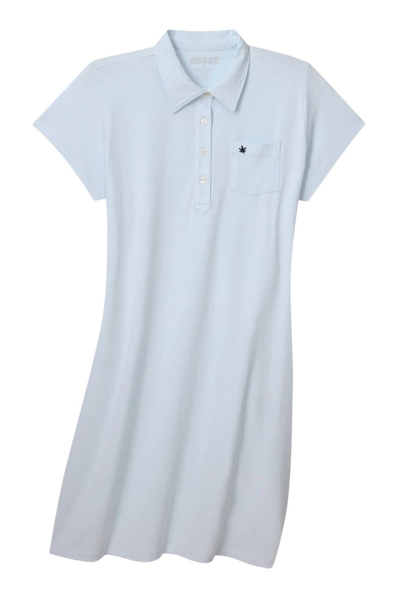 Club Polo Dress