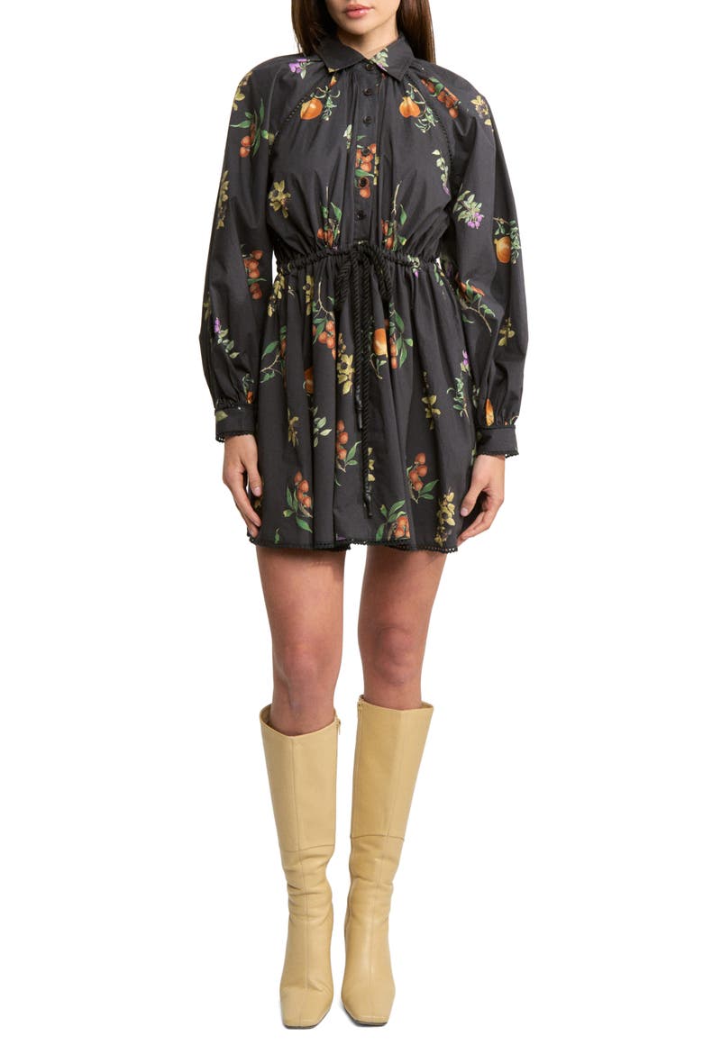 Kristie Long Sleeve Cotton Shirtdress