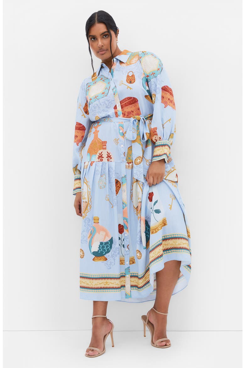 Stellar Beauty Long Sleeve Maxi Dress