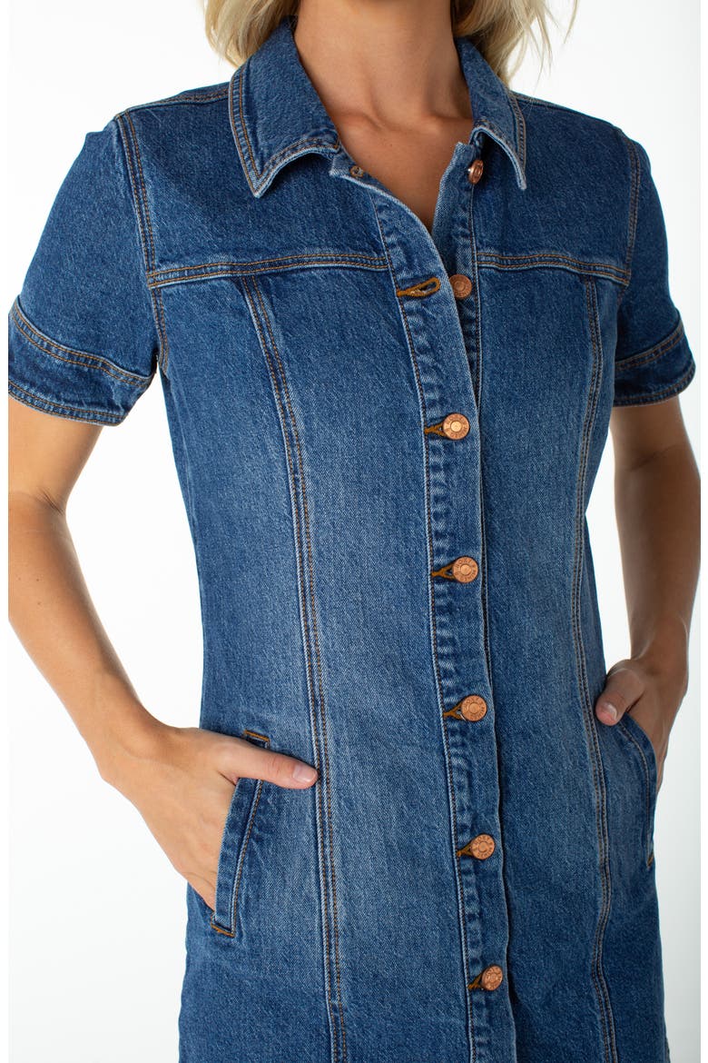 Dusk After Dark Button-Up Minidress