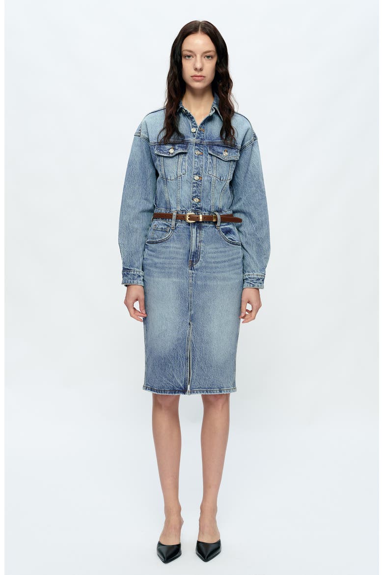 Doris Long Sleeve Denim Shirtdress