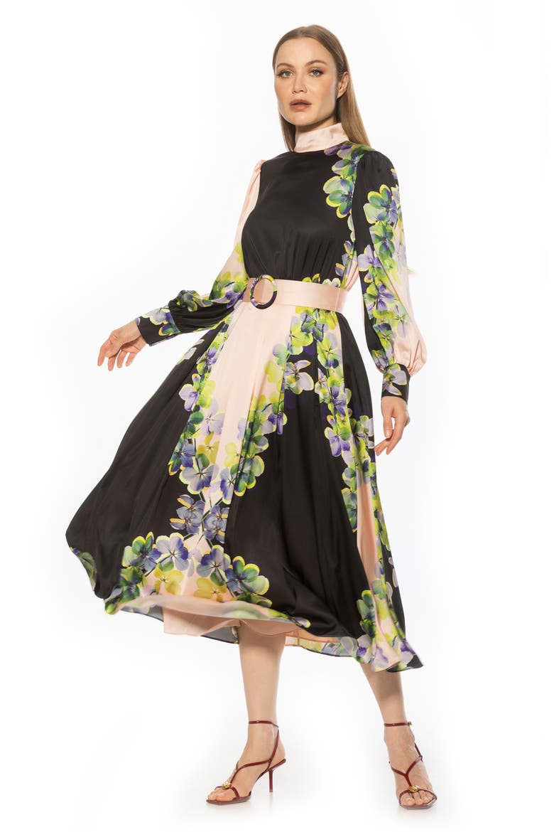 Safiya Long Sleeve Belted Fit & Flare Dress