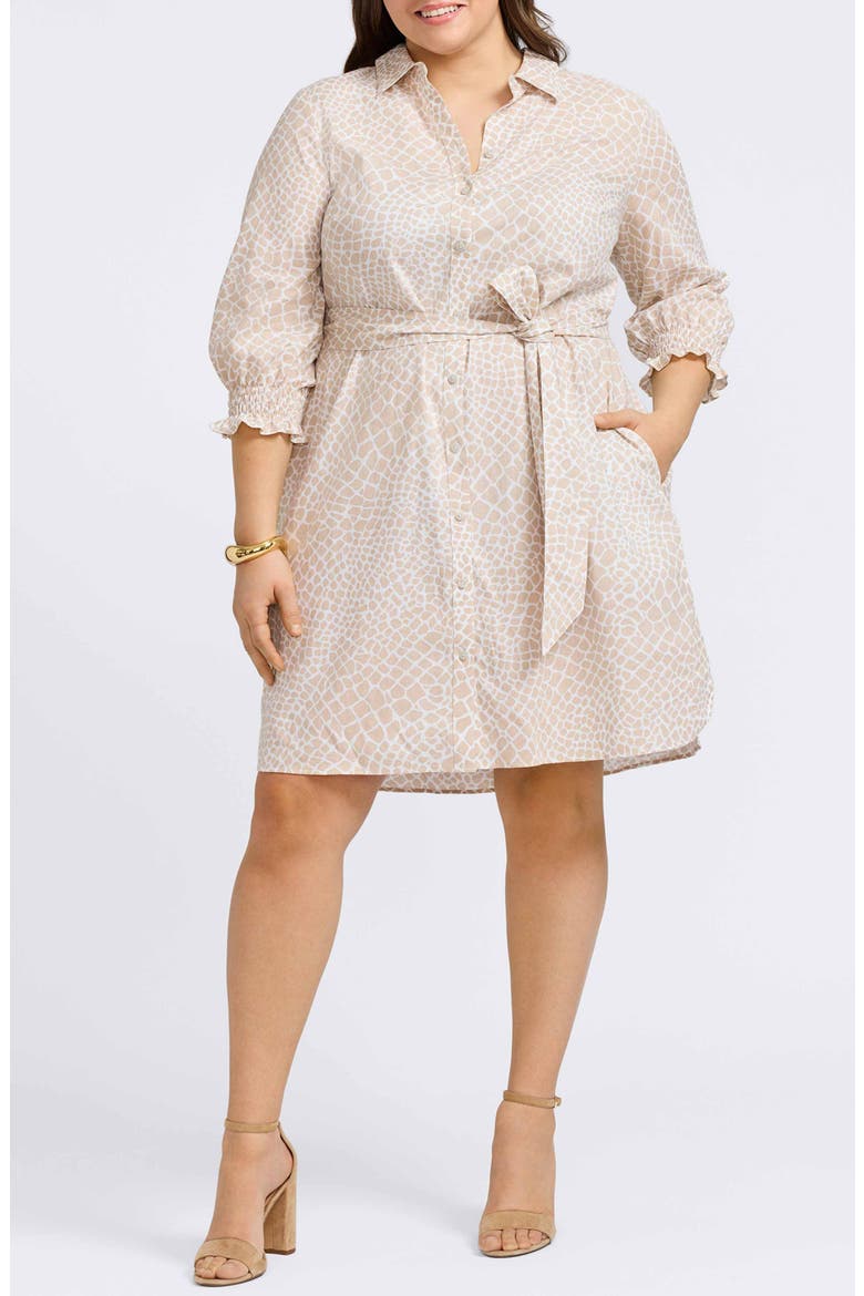Abby Belted Linen Blend Shirtdress