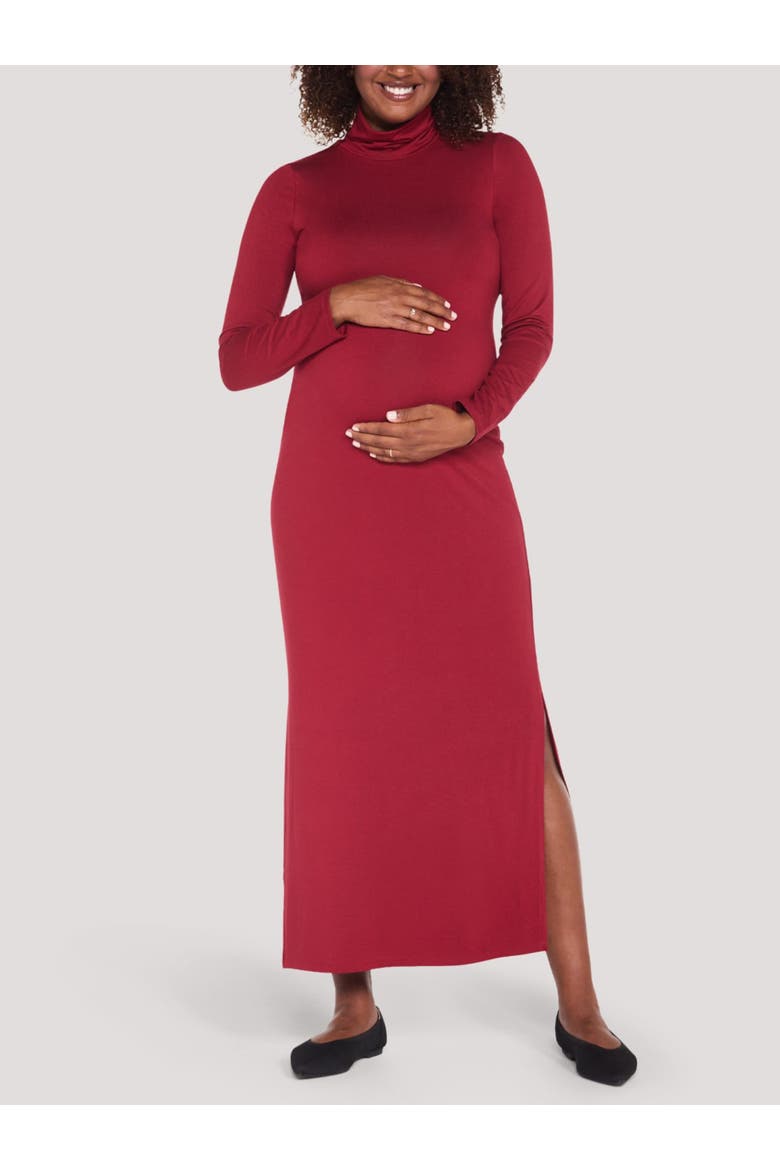 Turtleneck Long Sleeve Knit Maxi Dress