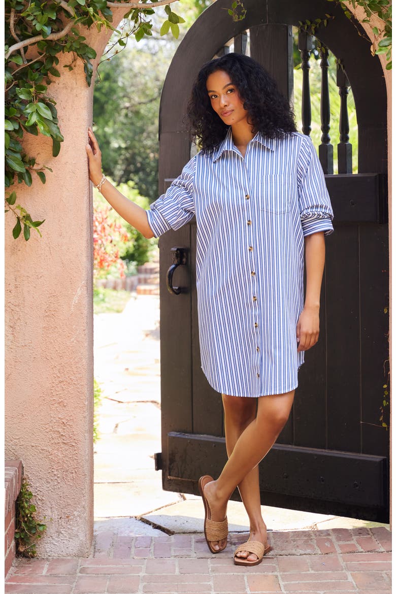 Ruched Sleeve Stripe Shirtdress