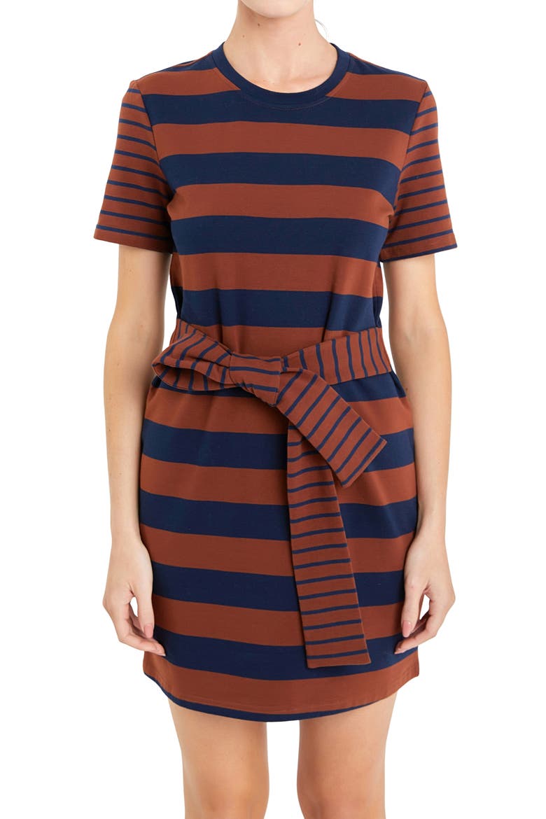 Contrast Stripe Tie Waist Minidress