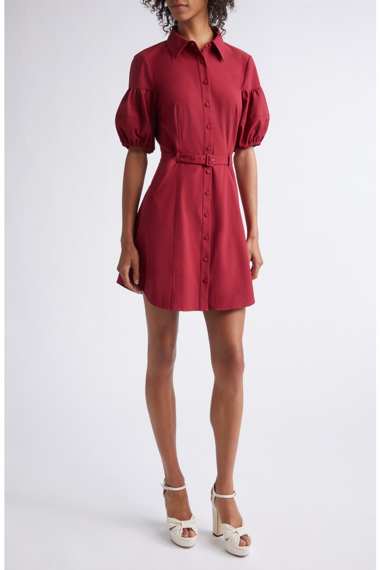 Norel Puff Sleeve Shirtdress