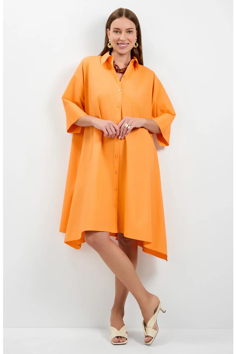 Seveso Shirt Dress