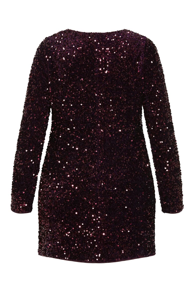 Winter Sequin Long Sleeve Dress