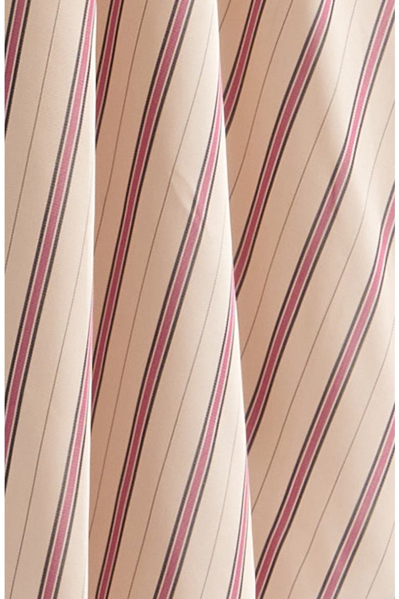 Valiant Stripe Long Sleeve Midi Shirtdress
