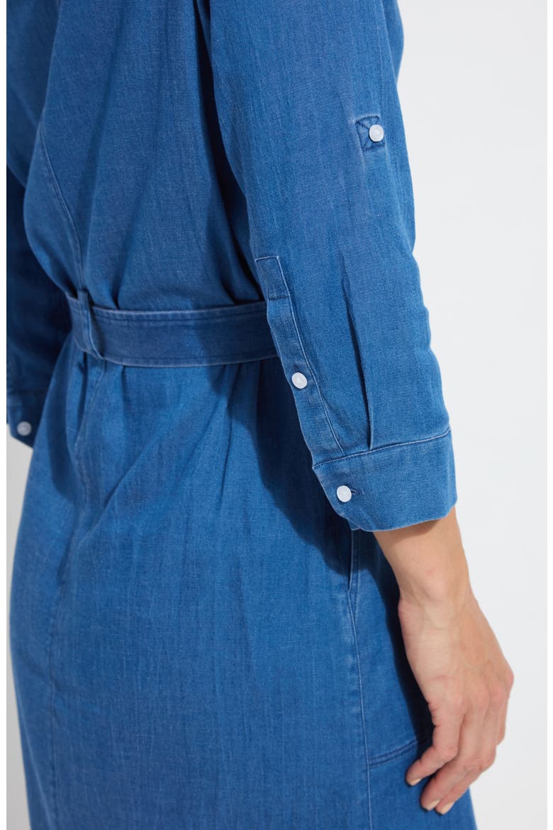 Delphine Chambray Shirtdress