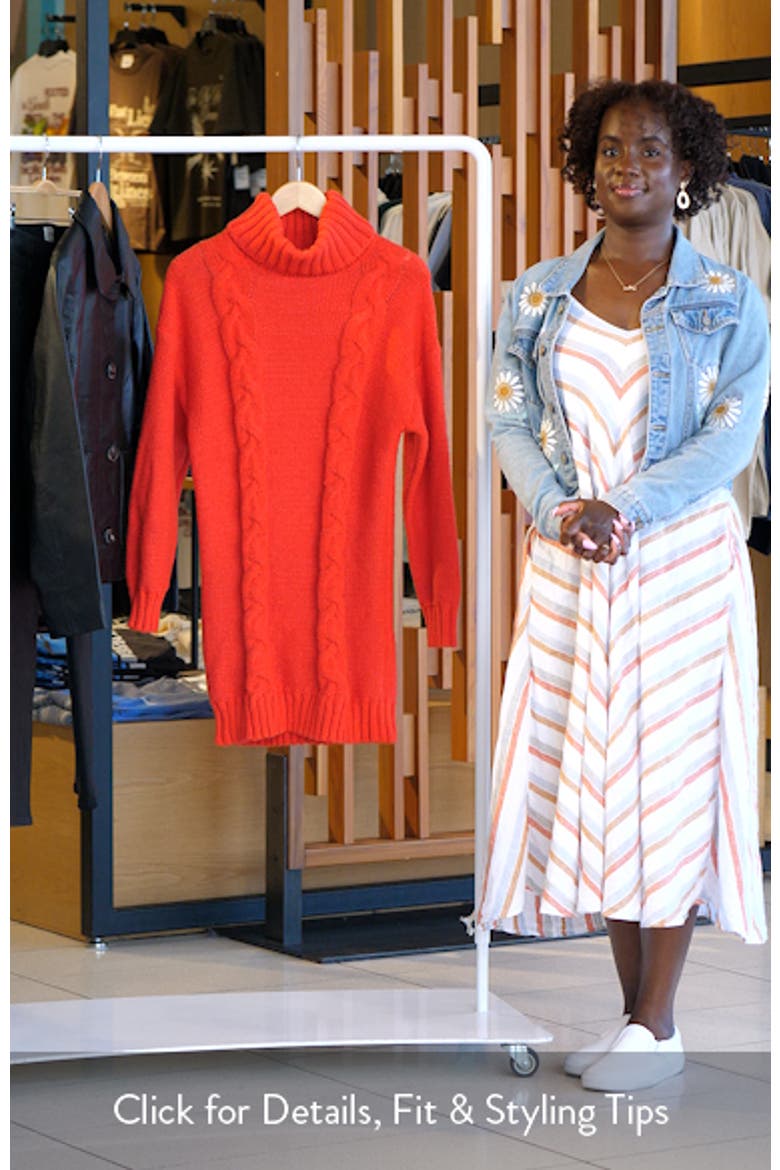 Olivia Turtleneck Long Sleeve Mini Sweater Dress