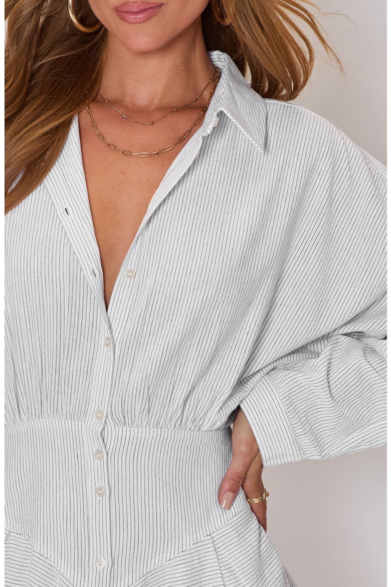 Taylor Stripe Long Sleeve Cotton & Linen Mini Shirtdress