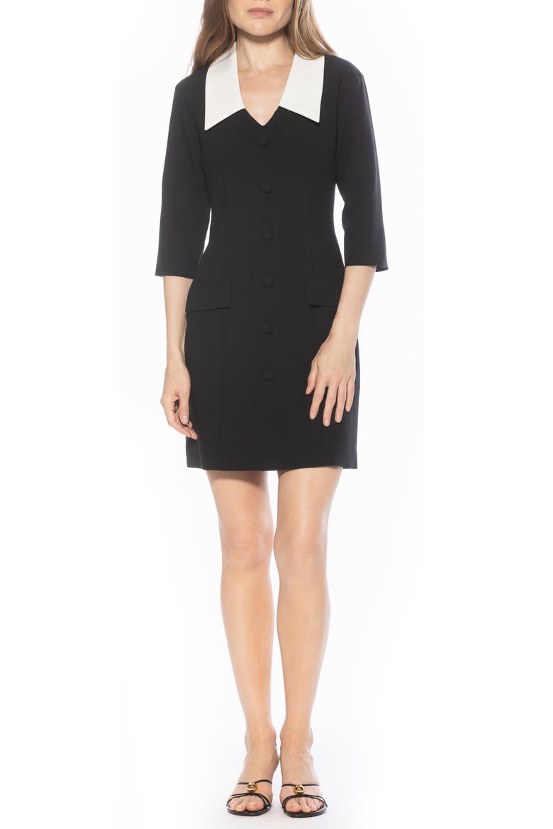 Isolde Colorblock Collared Dress
