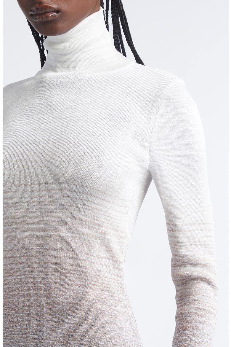 Ombré Stripe Long Sleeve Turtleneck Mini Sweater Dress
