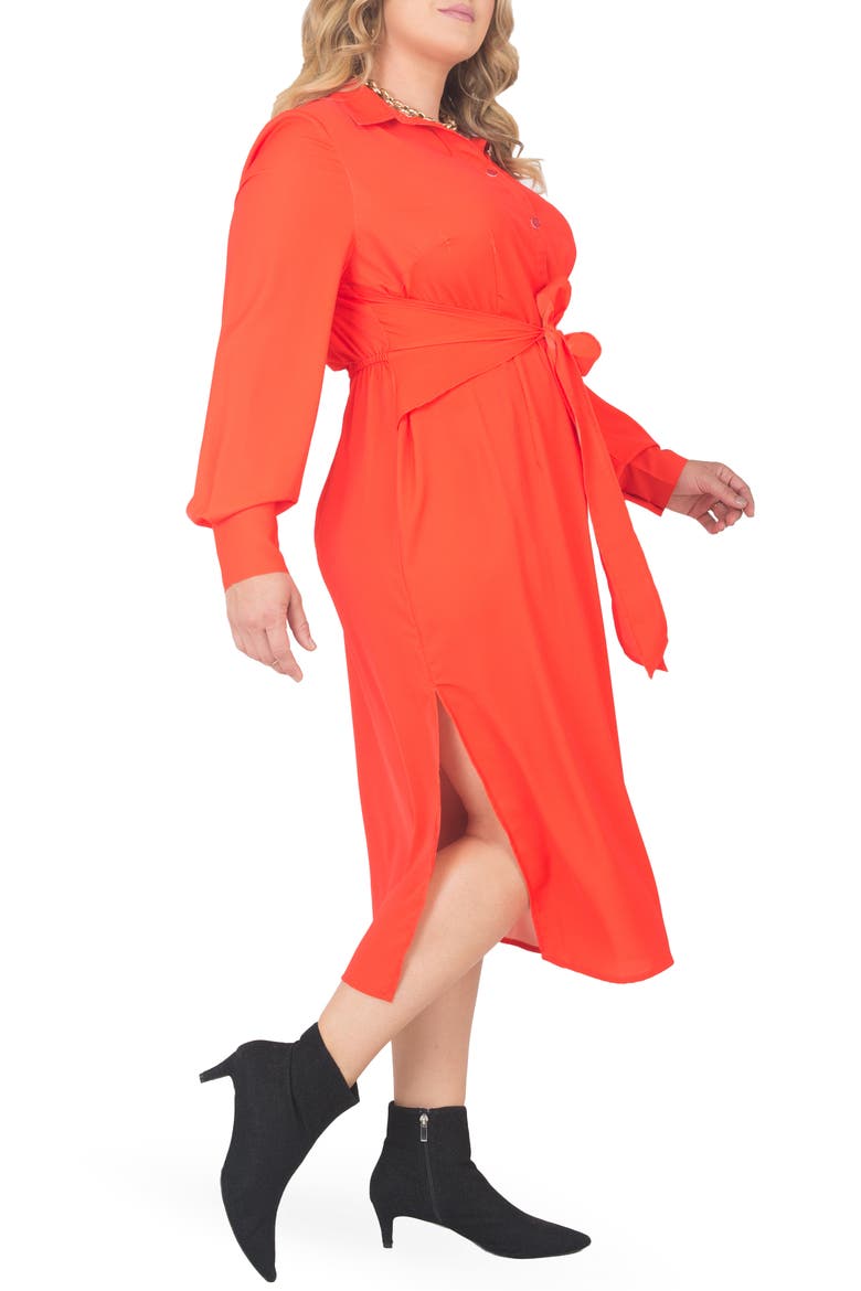 Tie Waist Long Sleeve Midi Dress