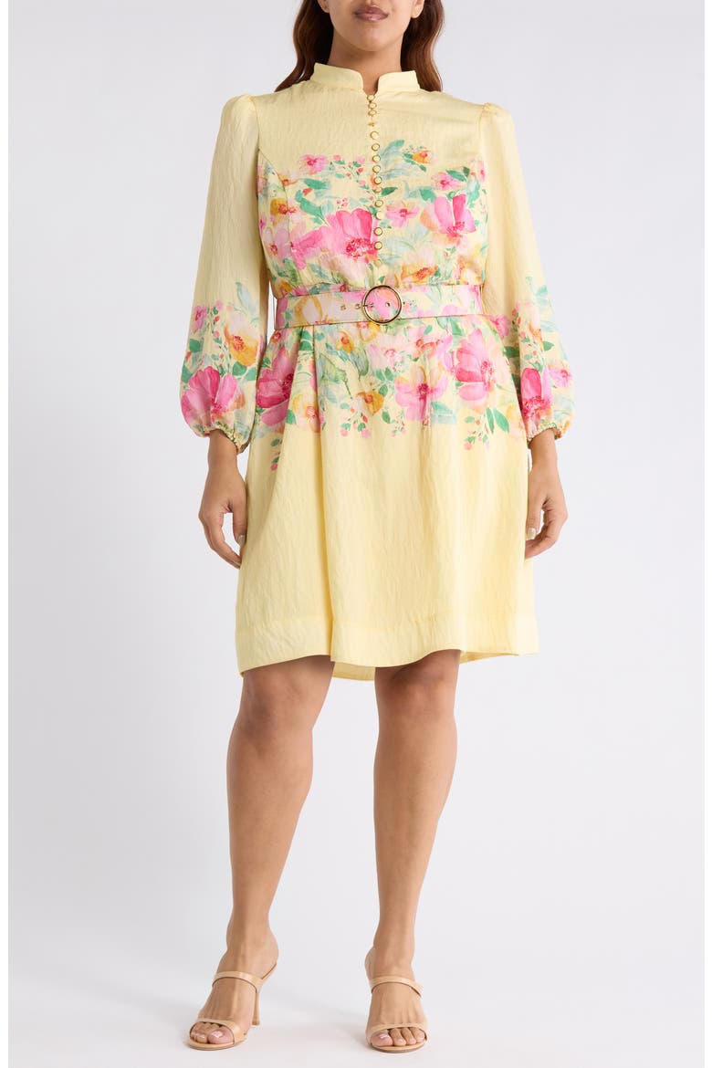 Placed Floral Long Sleeve Dress