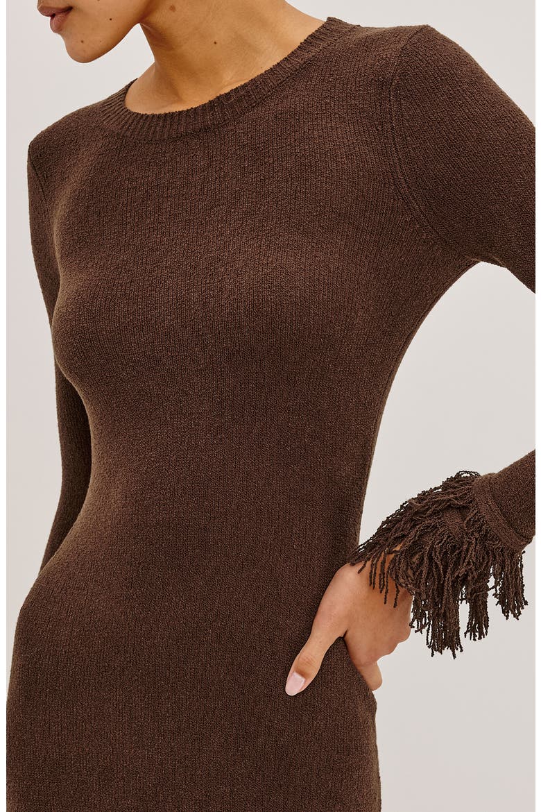 Alejandra Fringe Long Sleeve Midi Dress