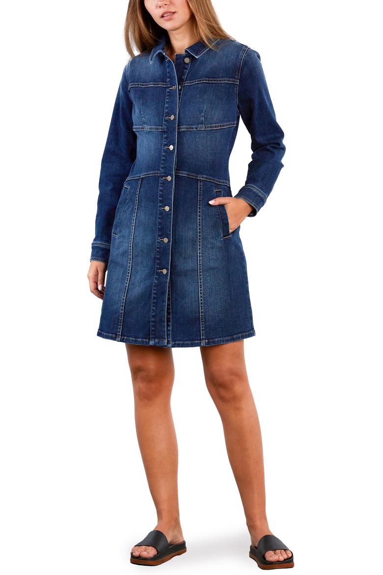 Wisp Long Sleeve Stretch Denim Dress