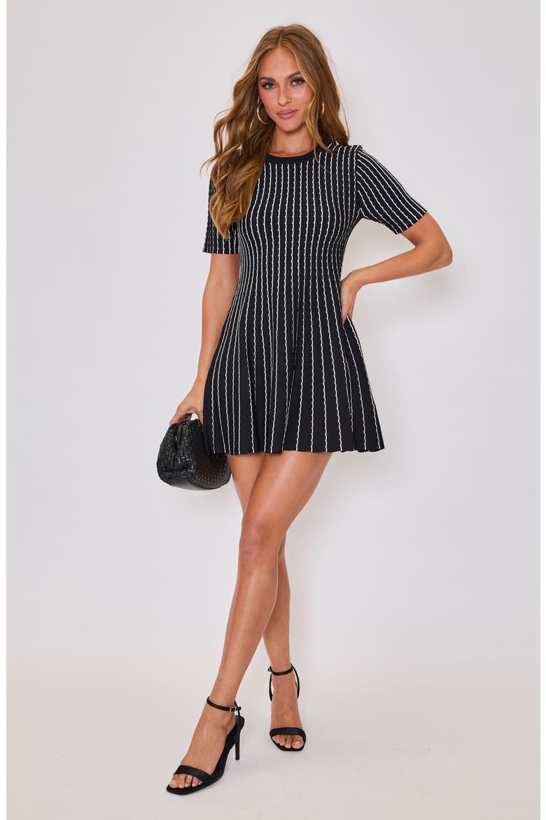 Emily Stripe Knit Fit & Flare Minidress