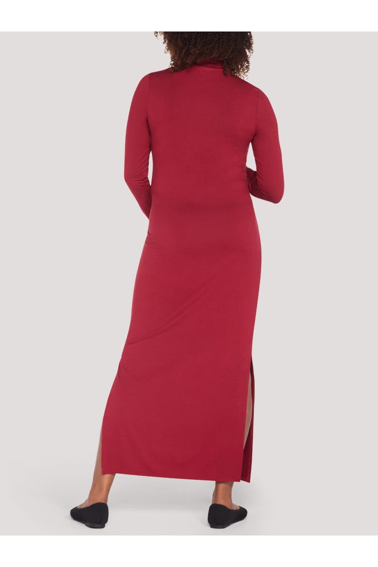 Turtleneck Long Sleeve Knit Maxi Dress