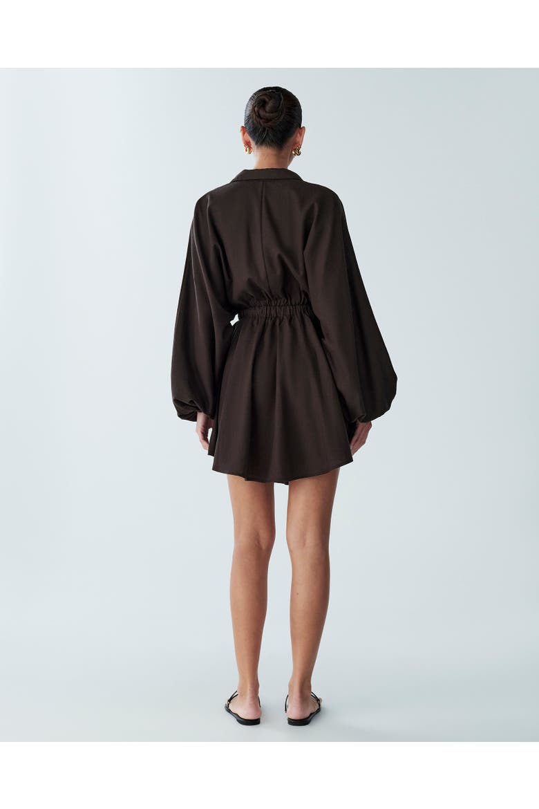 Shauna Mini Dress