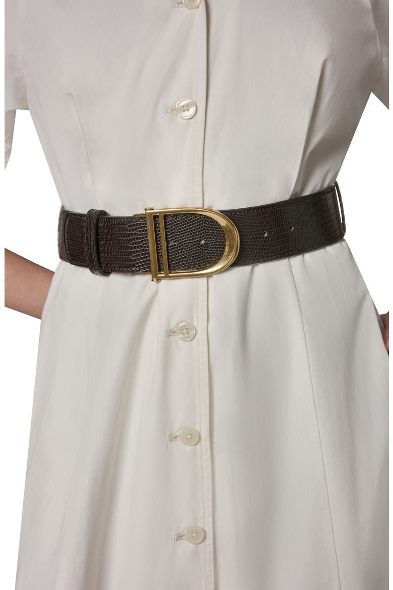 Embroidered Puff Sleeve Belted Cotton Shirtdress