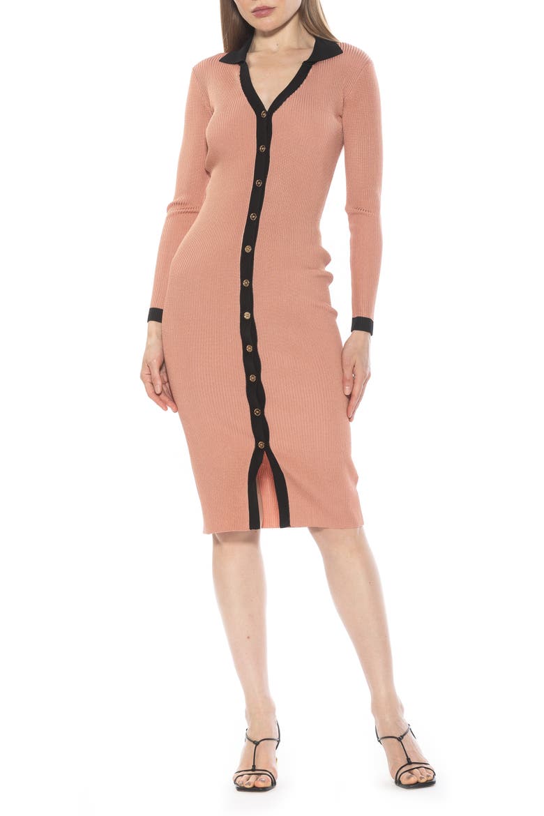 Cordelia Knit Long Sleeve Shirtdress
